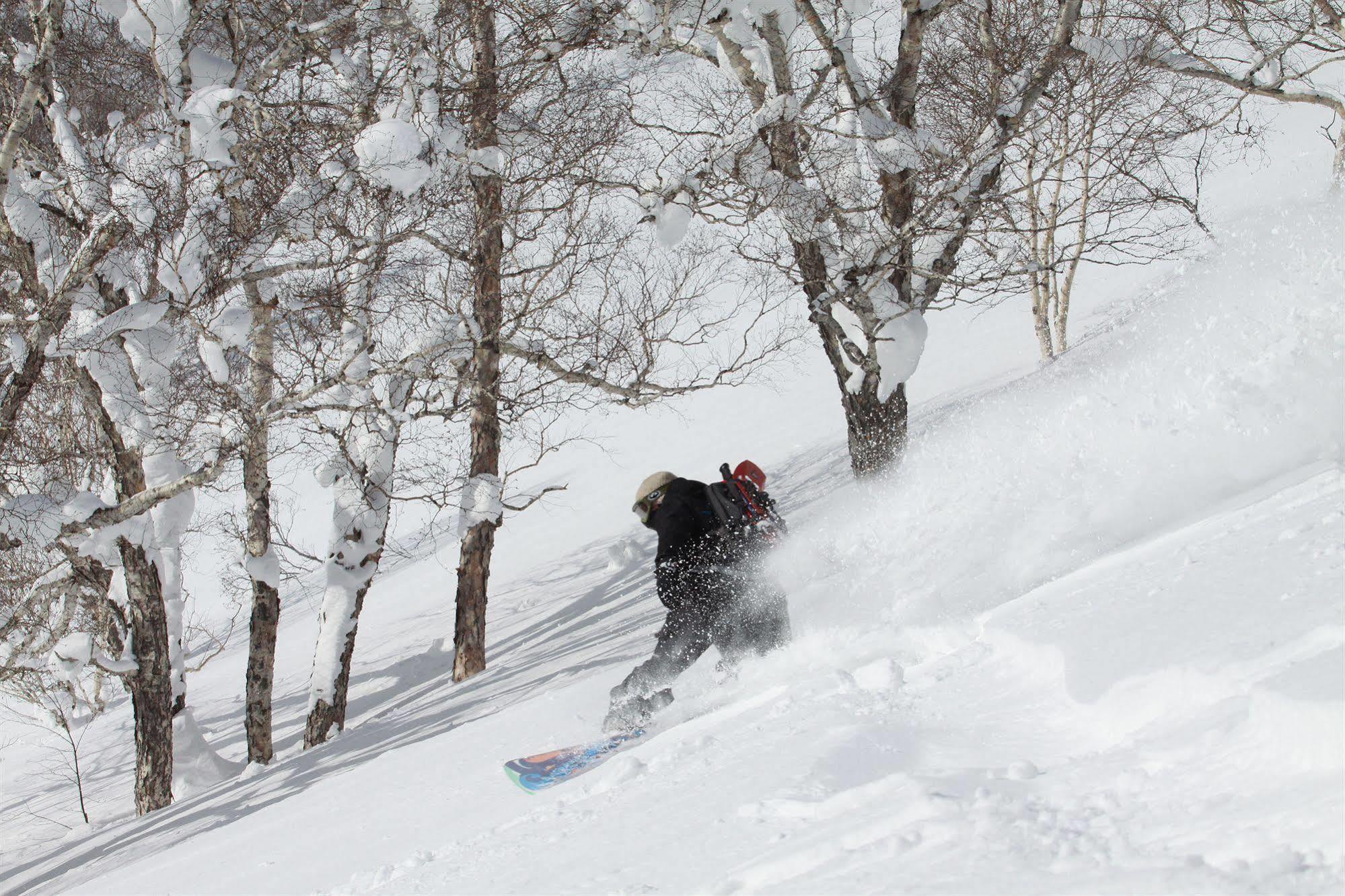 Niseko Grand Hotel Exteriér fotografie